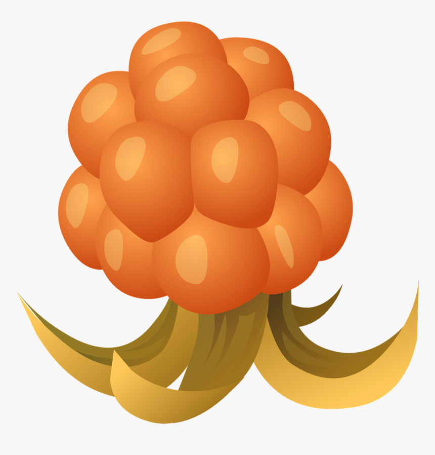Cloudberry Clipart, HD Png Download