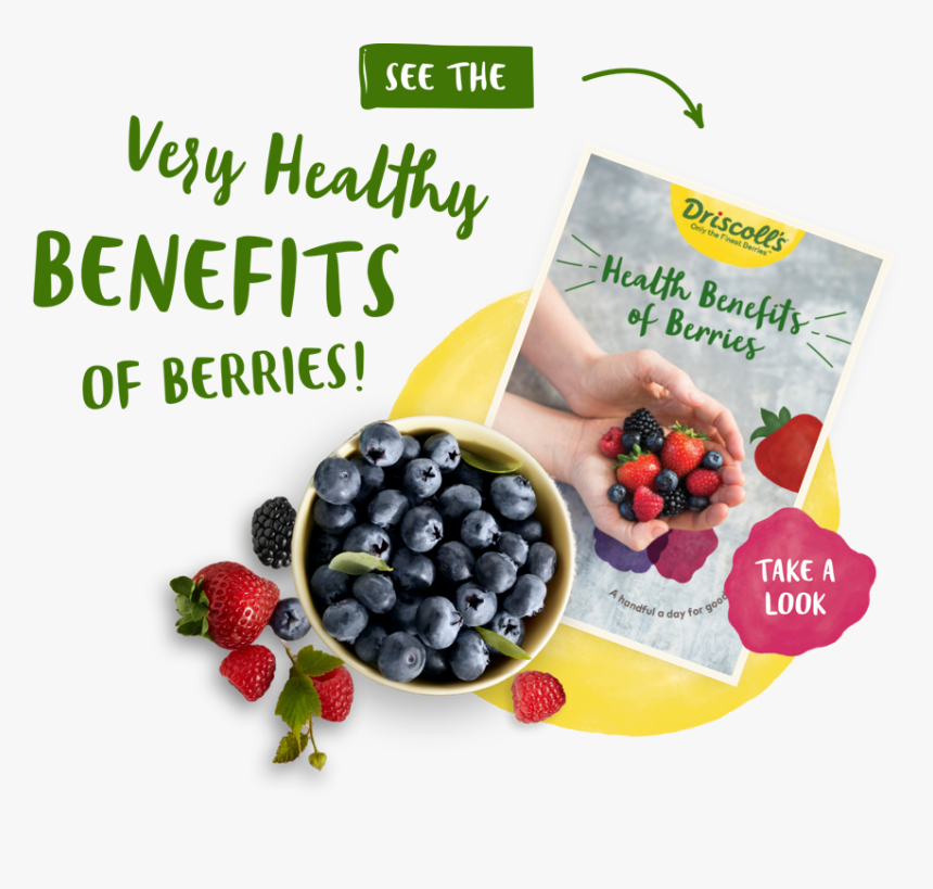 Berries Png - Frutti Di Bosco, Transparent Png