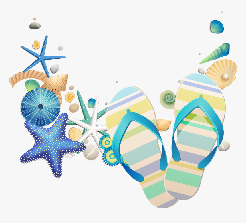 Seashells Png, Transparent Png