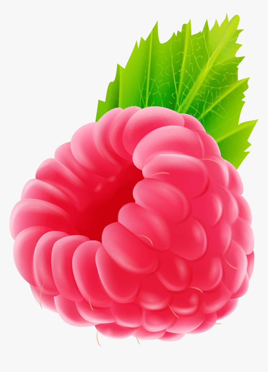 Png Clip Art Image - Clipart Raspberry Png, Transparent Png