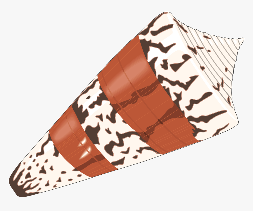 Seashells Clipart Png Download - Sea Shells, Transparent Png