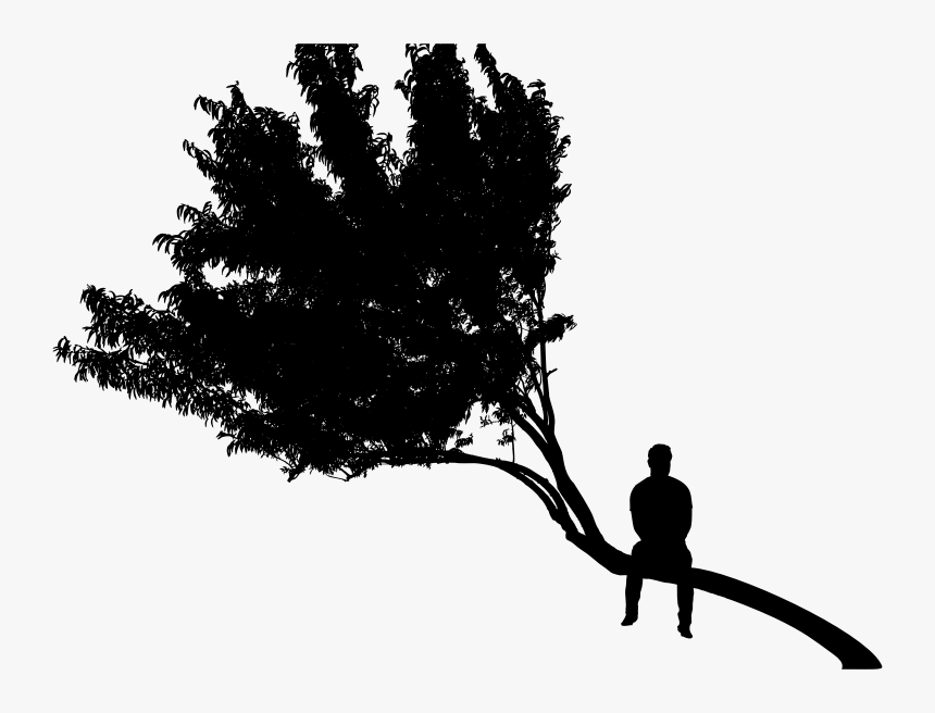 Man Sitting On Tree Silhouette, HD Png Download