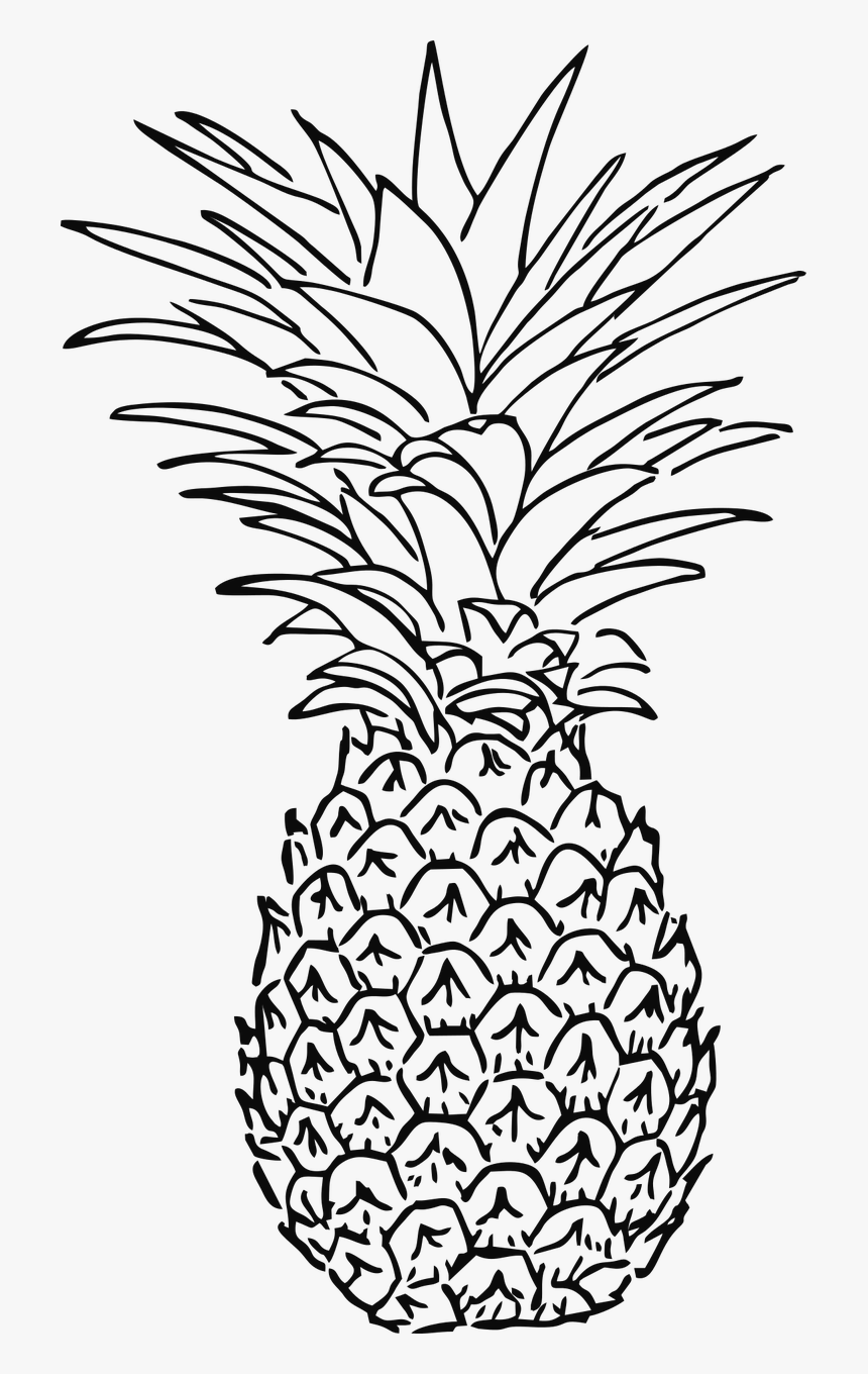Pineapple Black And White Png, Transparent Png , Transparent Png Image ...