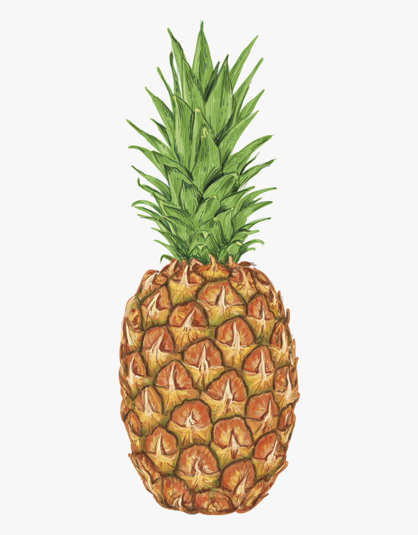 Vinilo Comida Piña Acuarela - Dancing Pineapple Gif, HD Png Download
