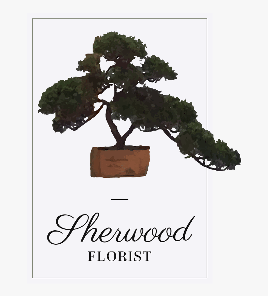 Fair Oaks, Ca Florist - Bonsai, HD Png Download