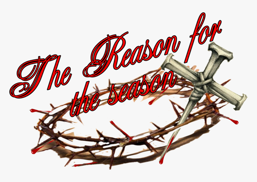 #thorncrown # Thereasonfortheseasom # Blood Drops # - Calligraphy, HD Png Download