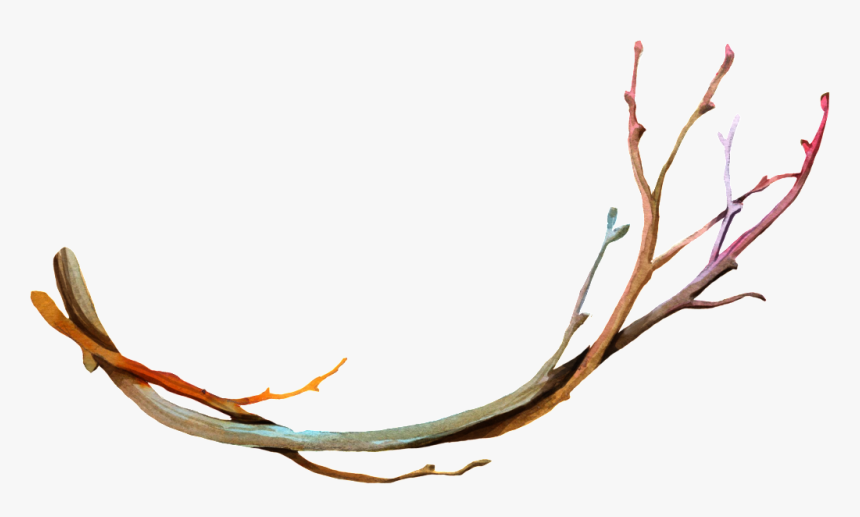 Png Transparente De Ramas Secas - Branches Transparent Background, Png Download