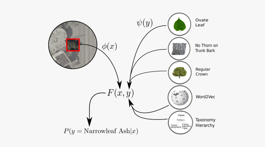 Diagram, HD Png Download