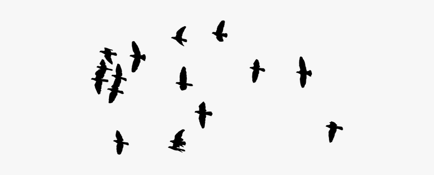 Flock Of Birds Image - Silhouette Of Flock Birds, HD Png Download