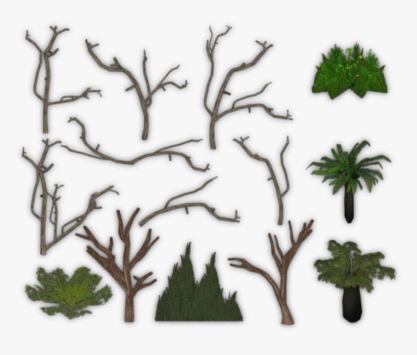 Foliage Pack - Fir, HD Png Download