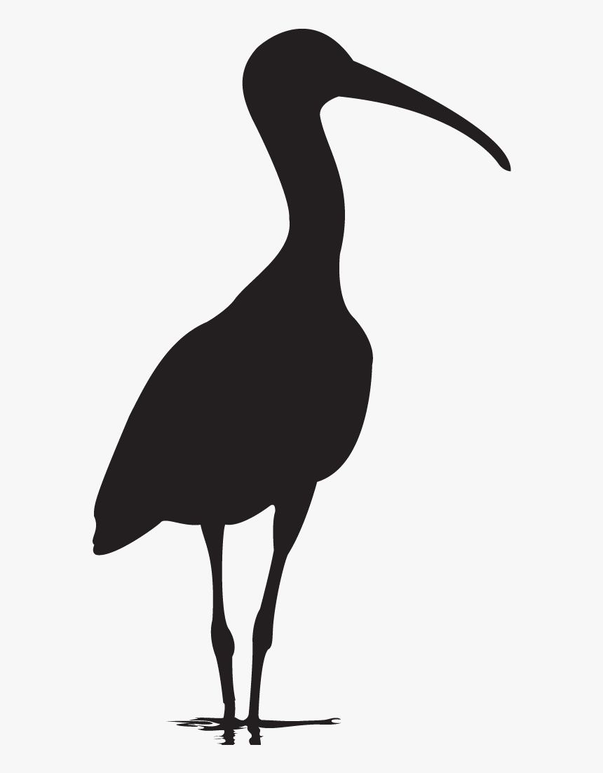Flying Scarlet Ibis Silhouette, HD Png Download