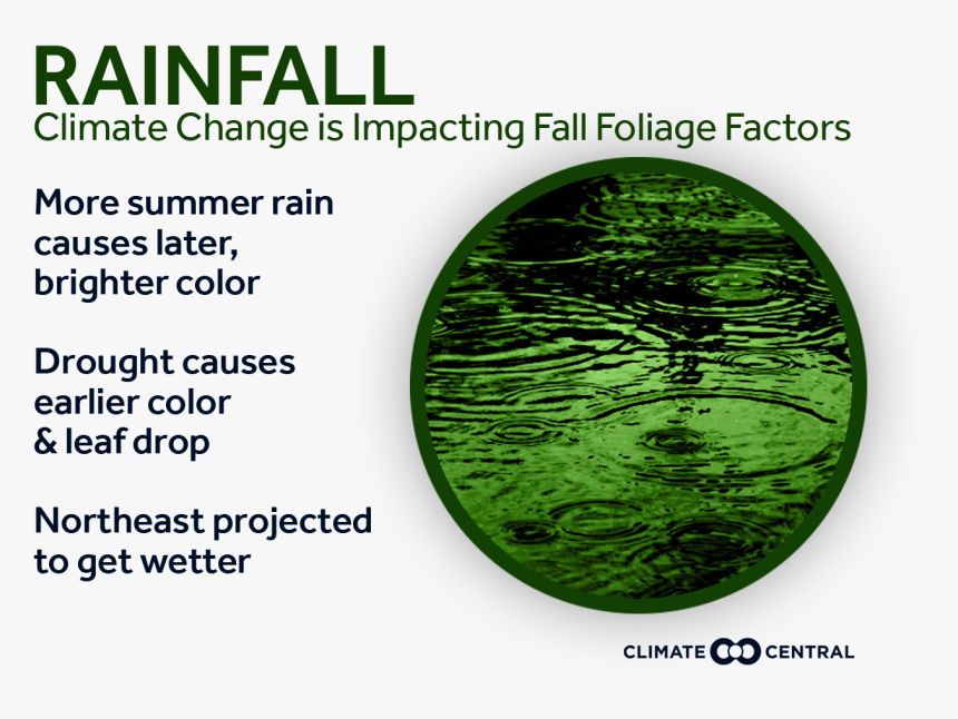 Climate Change Autumn, HD Png Download