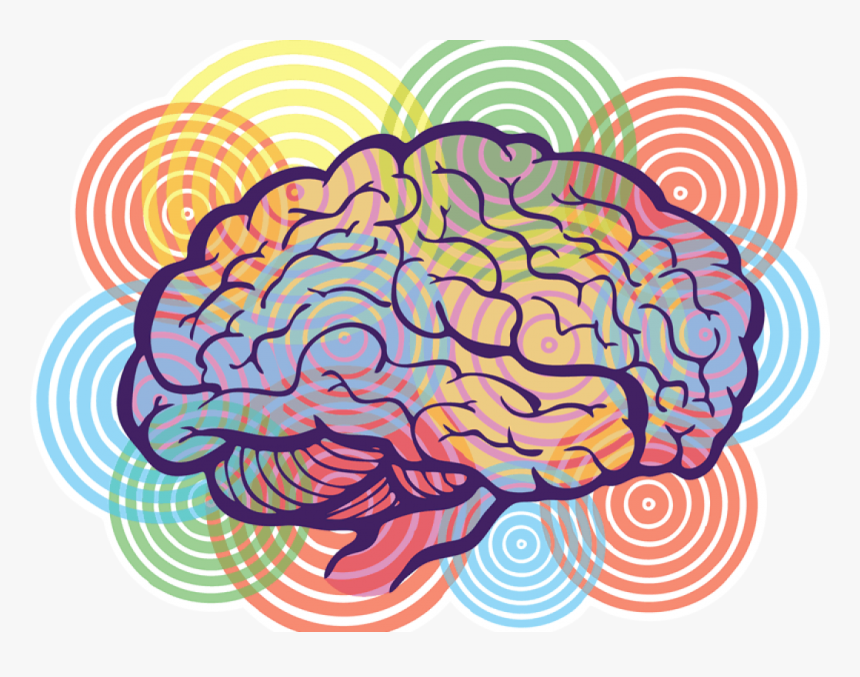 Art Brain Png, Transparent Png