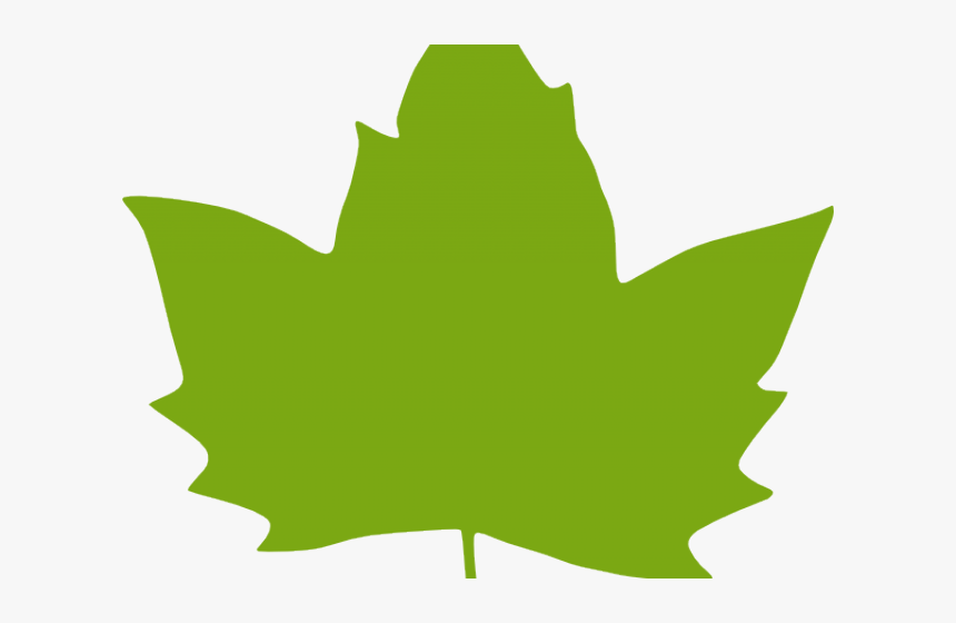 Foliage Clipart Paan - Green Fall Leaf Clipart, HD Png Download