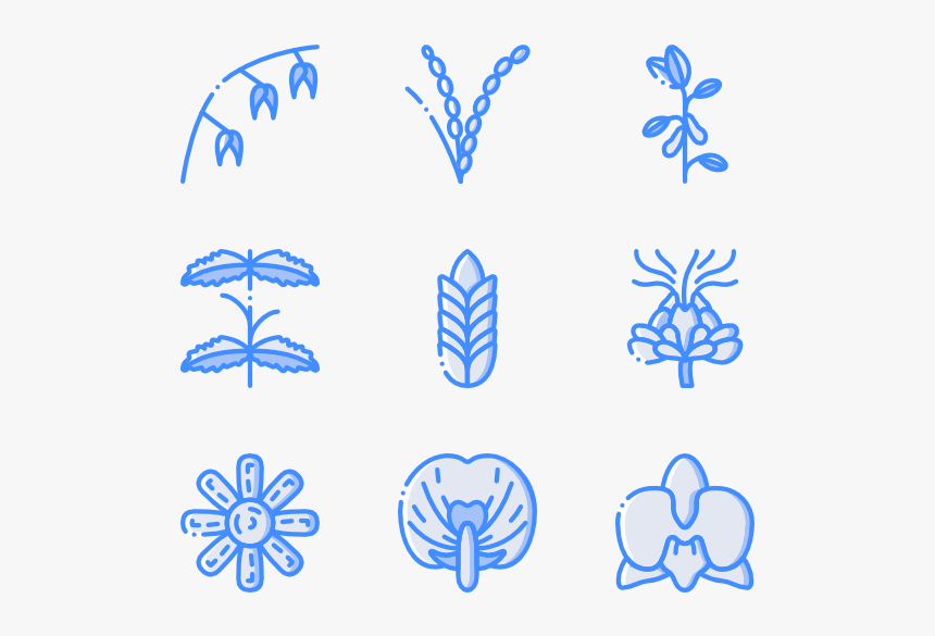 Botanicals, HD Png Download