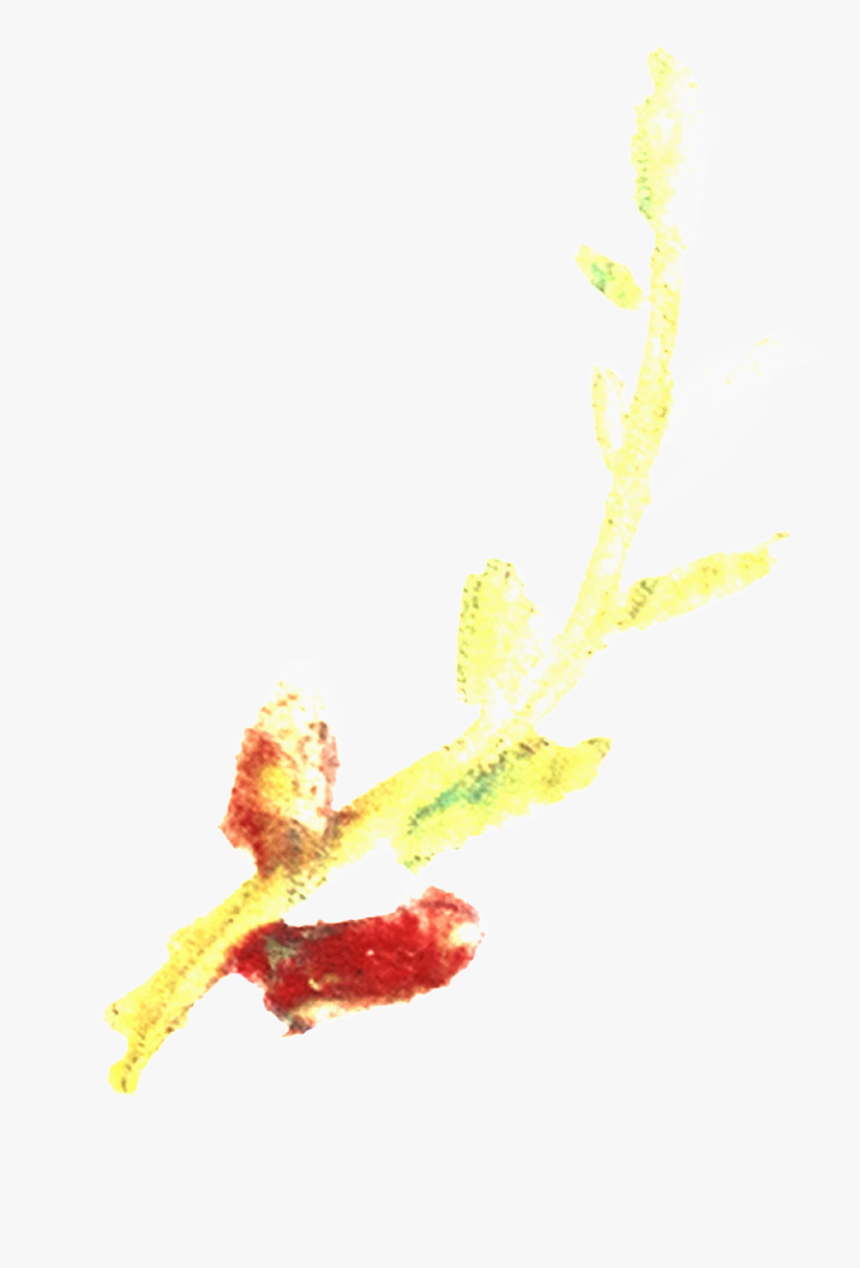 Este Gráficos Es Png Transparente De Ramas Y Hojas - Illustration, Png Download