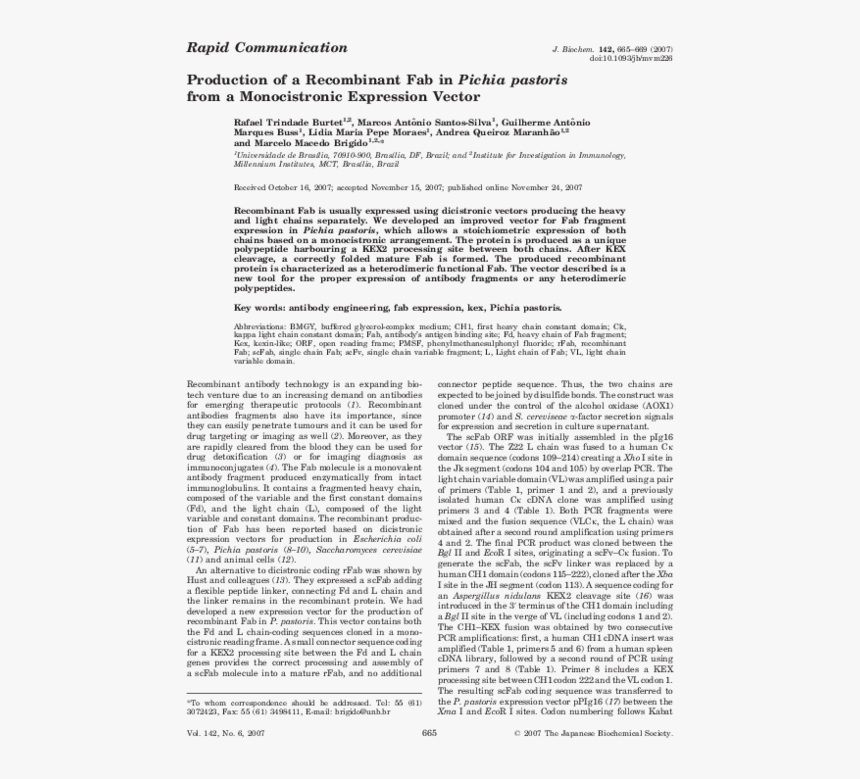 Document, HD Png Download