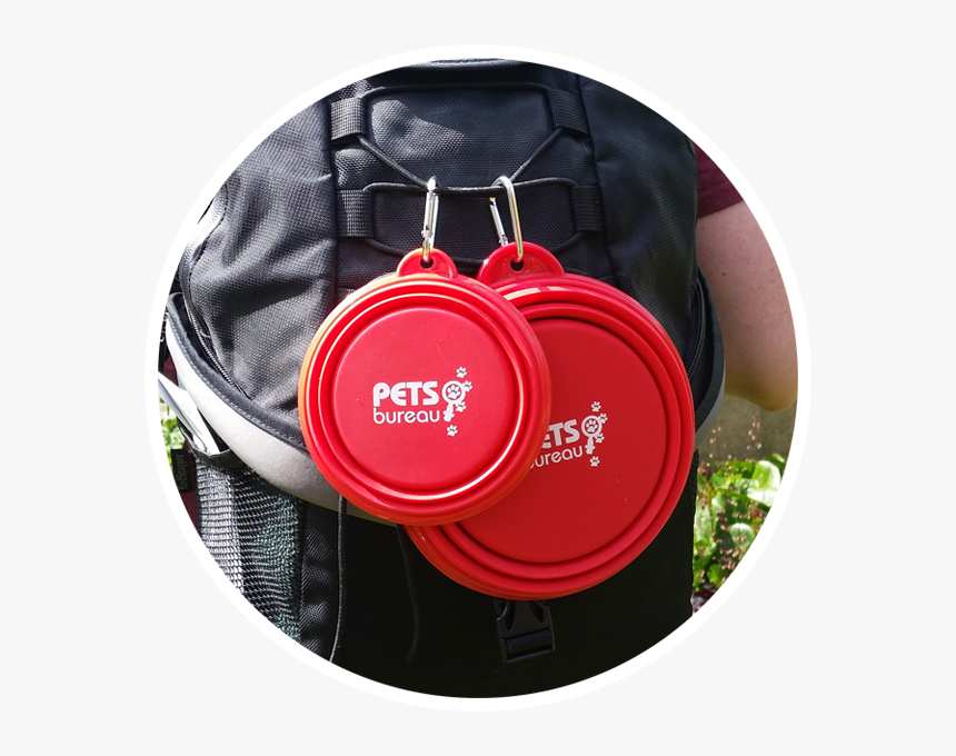 Handbag, HD Png Download