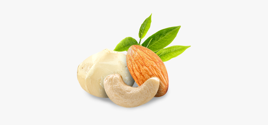 Cashew, HD Png Download
