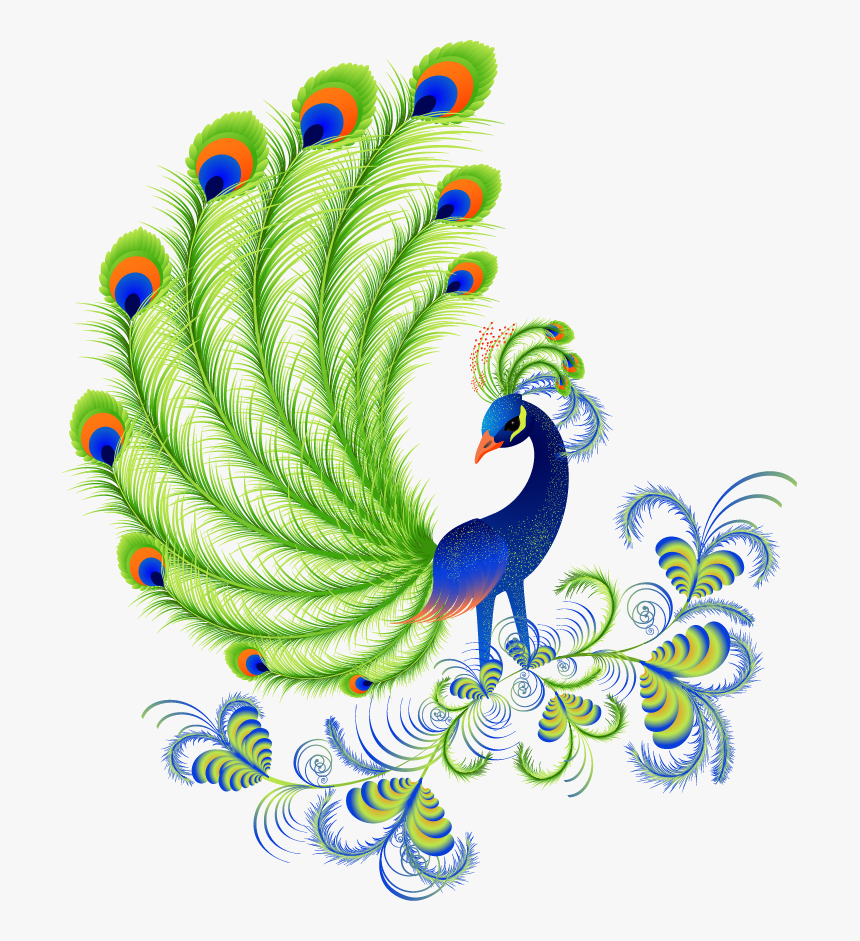 Peafowl Free Content - Beautiful Designs Of Peacock, HD Png Download