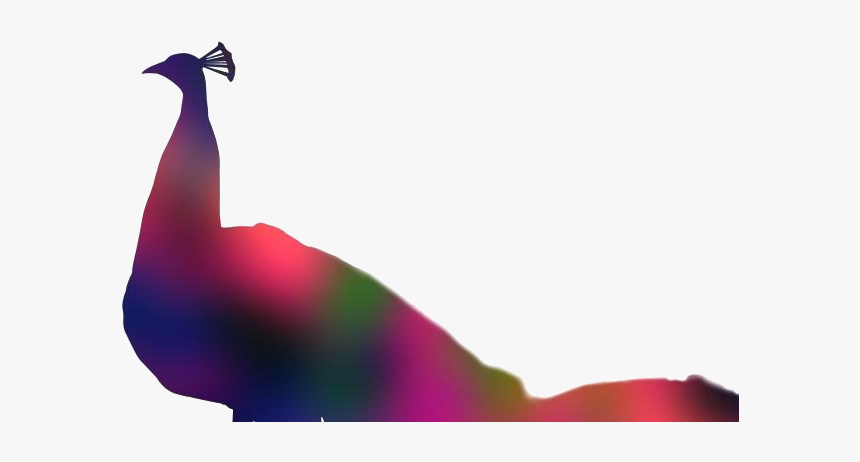 Colorful Peacock Clipart, Peacock Colorful Png Image - Peafowl, Transparent Png
