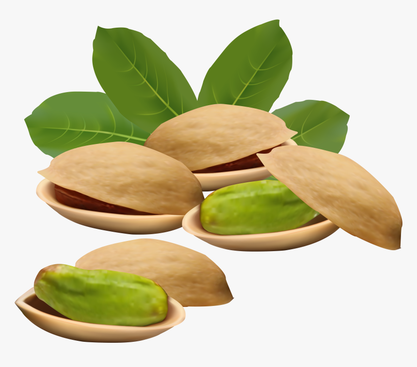 Pistachio Nuts Png Clipart Image - Pistachio Png, Transparent Png