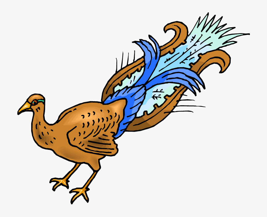 Peafowl, HD Png Download