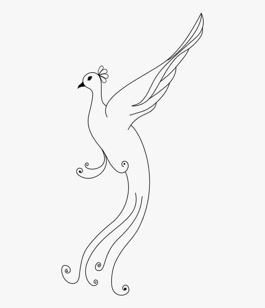Peacock - Line Art, HD Png Download