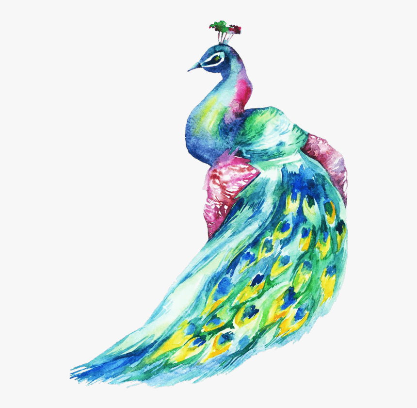 Th Annual Ball City Winter Park - Peacock Ball Winter Park 2018, HD Png Download