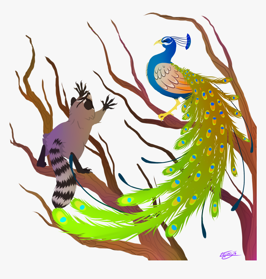 Peacock And Raccoon - Raccoon Peacock, HD Png Download