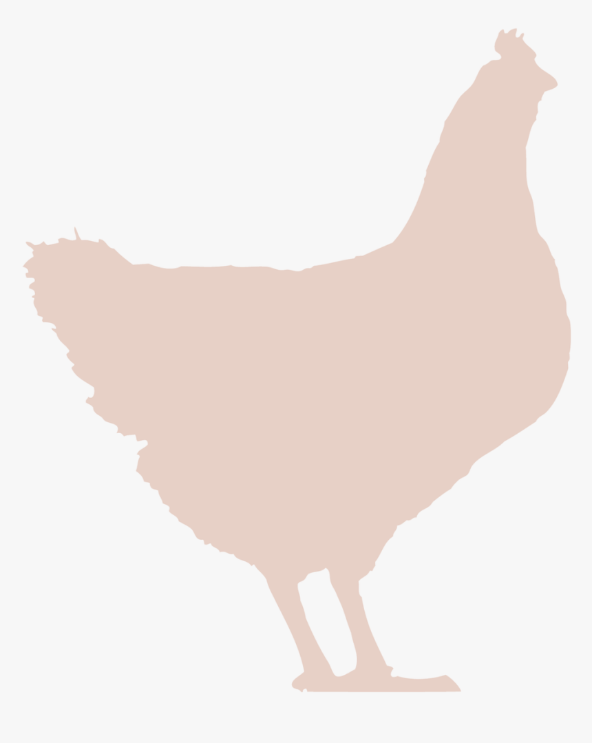 Rooster, HD Png Download