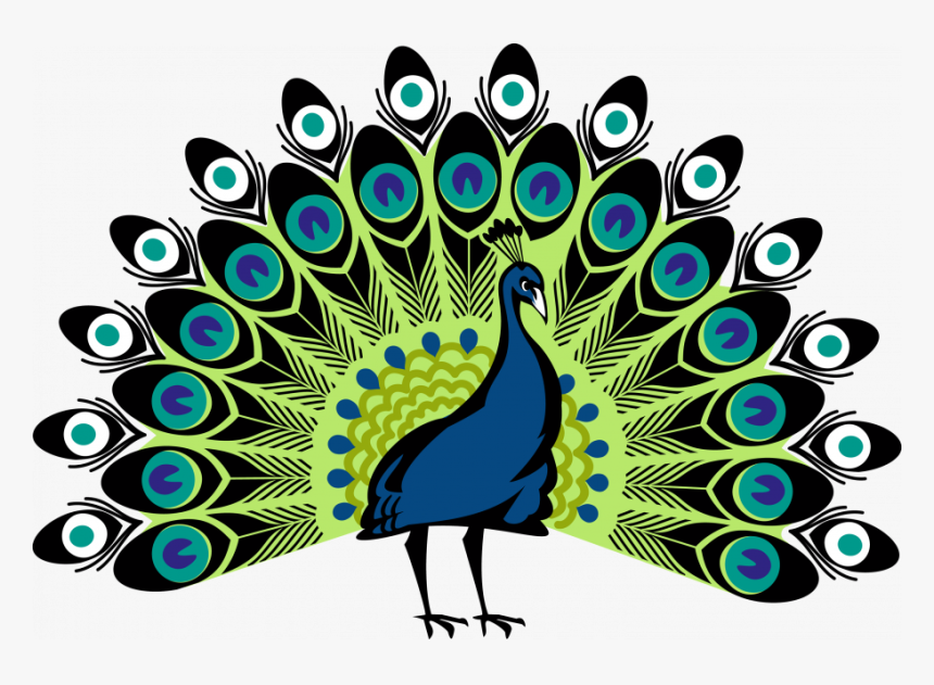 Peacock Png, Transparent Png