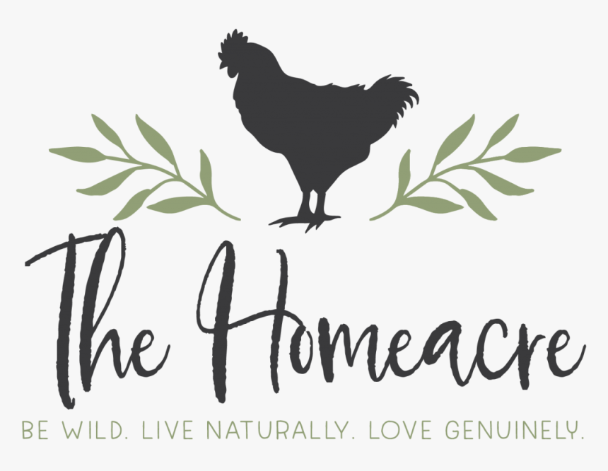 Rooster, HD Png Download