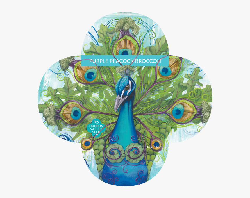 Peafowl, HD Png Download