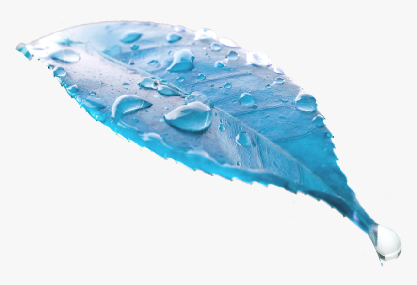 Huawei P30 Lite Dewdrop Display - Drop, HD Png Download