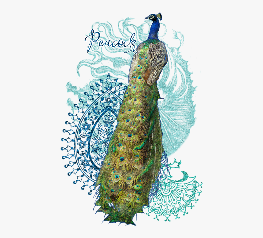 India Peacock Paisley Design, HD Png Download