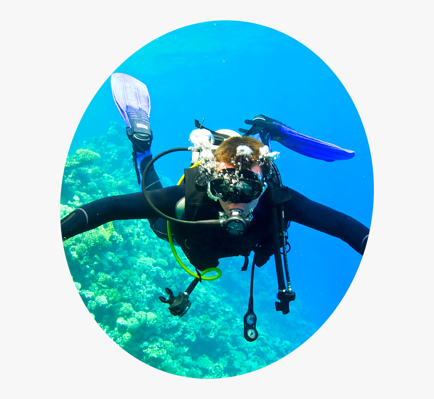 Banner-img - Scuba Diving Dangers, HD Png Download