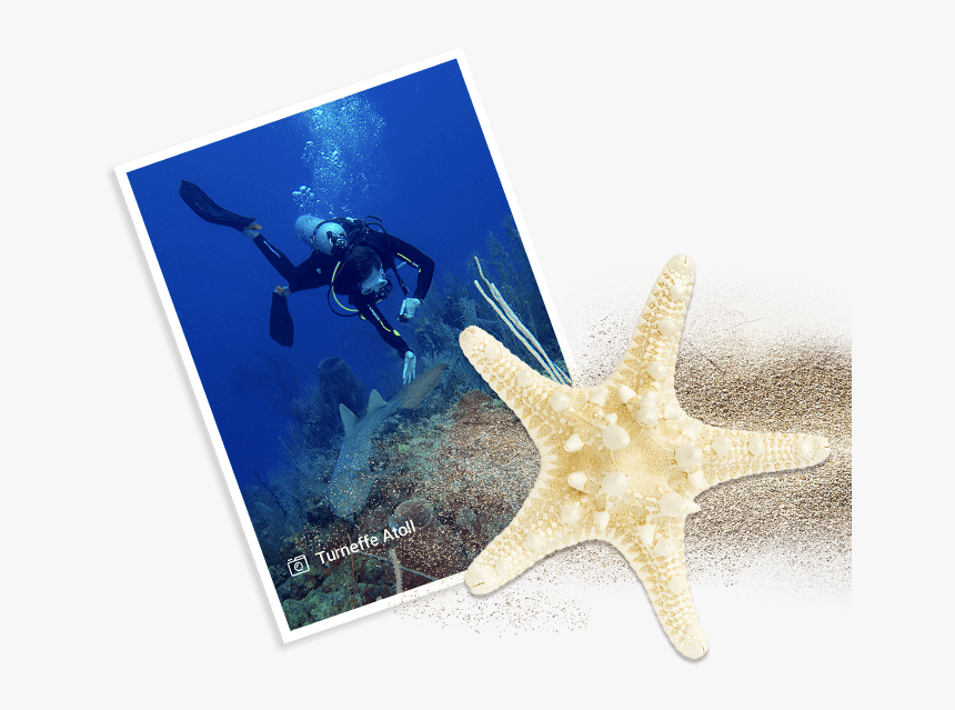 Underwater, HD Png Download