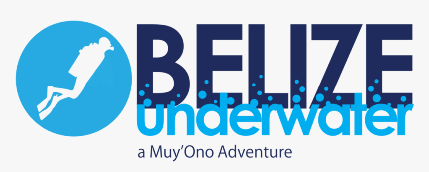 Bu W Mo - Graphic Design, HD Png Download