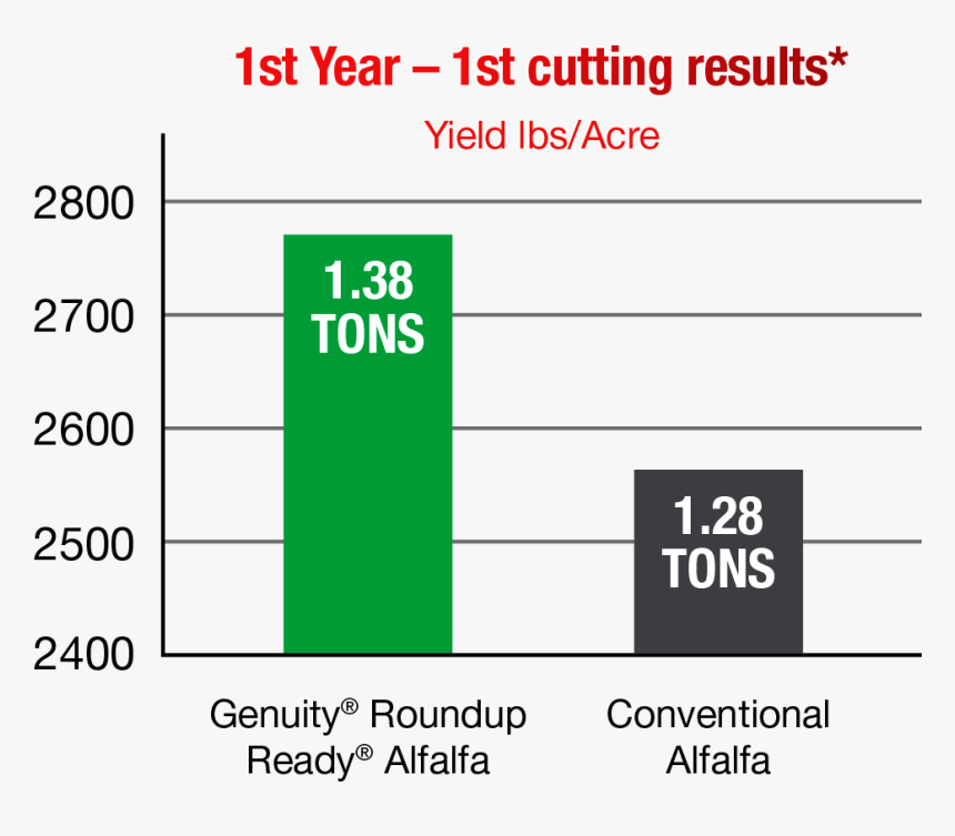Busted Halo, HD Png Download