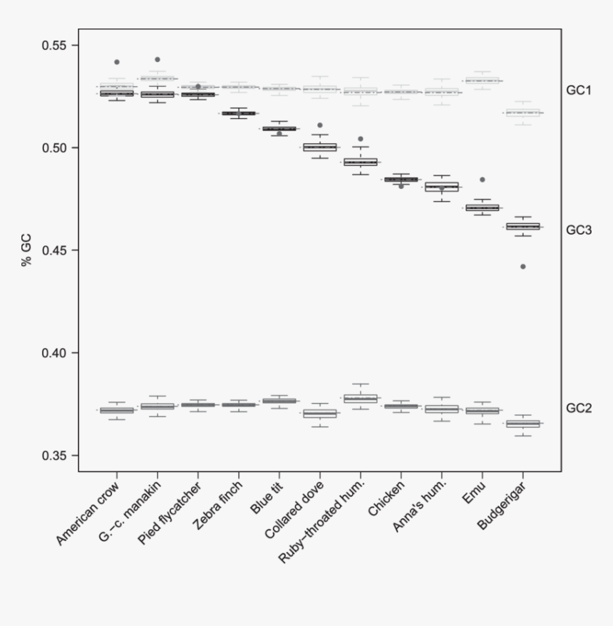 Diagram, HD Png Download