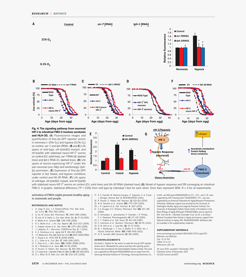 Number, HD Png Download