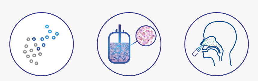 Circle, HD Png Download