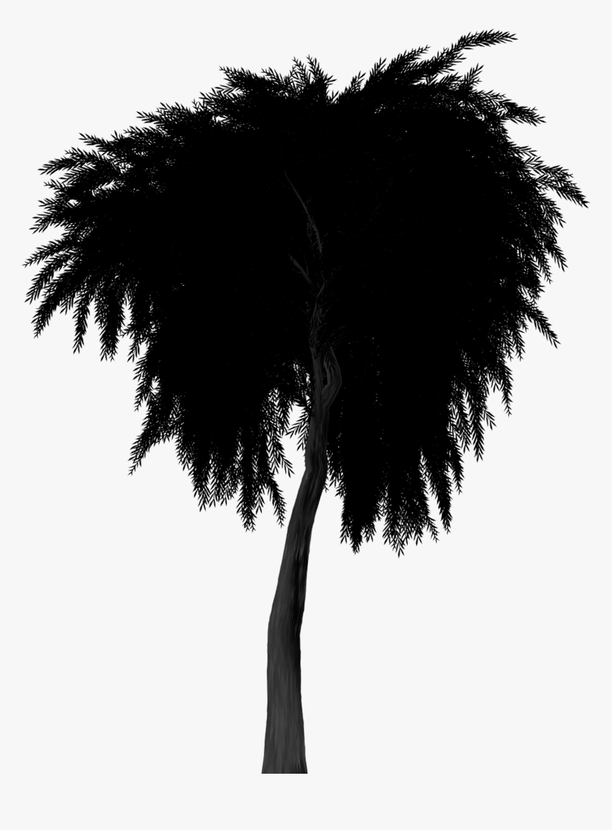 Transparent Goat Silhouette Png - Pussy Willow Tree Silhouette, Png Download