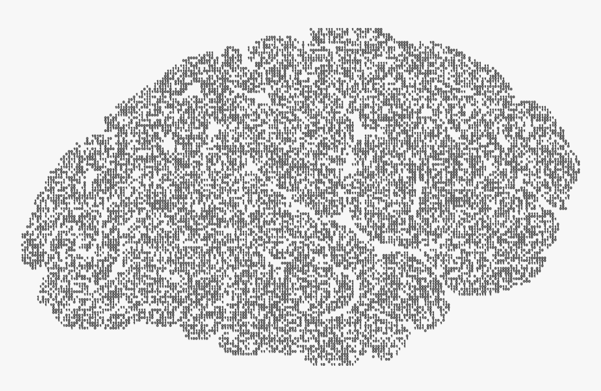 Brain, Binary, Computer, A, I, Ai, Anatomy - Brain Silhouette Png, Transparent Png