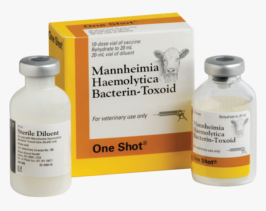 Glass Bottle, HD Png Download