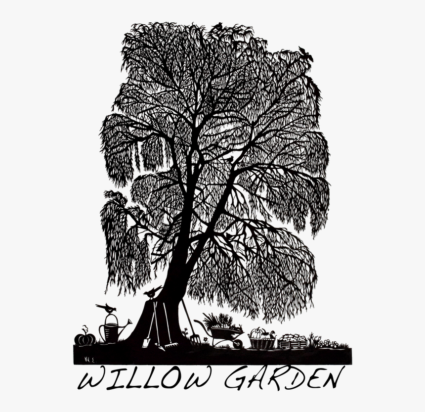 Picture - Oak, HD Png Download