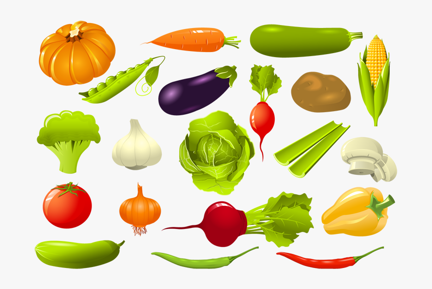 Set Of Vegetables Clipart, HD Png Download