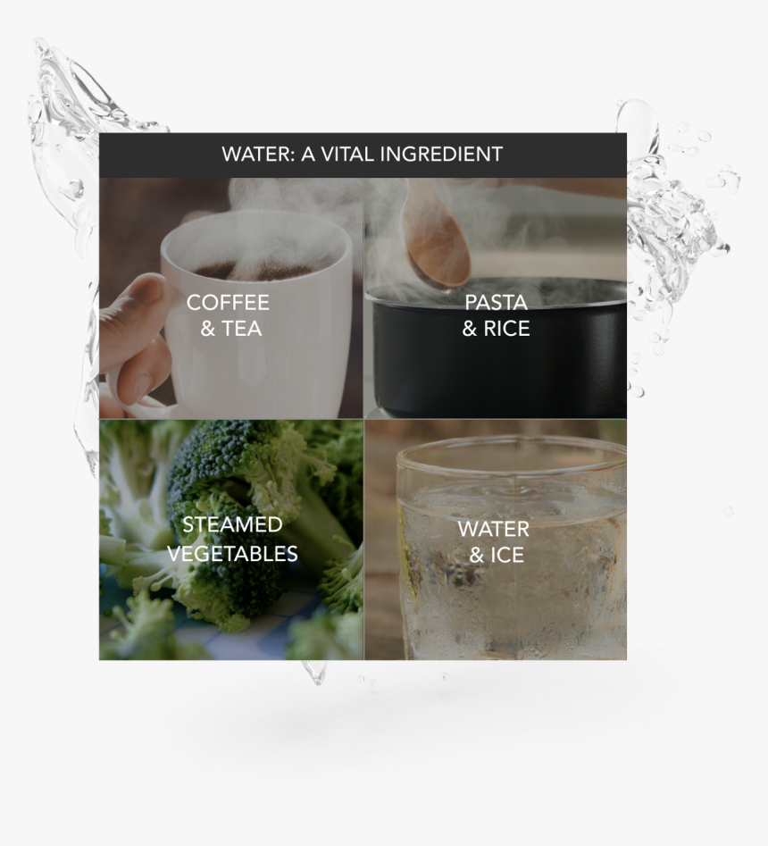 Pictures And Icons Representing Coffee & Tea, Pasta - Chlorophyta, HD Png Download