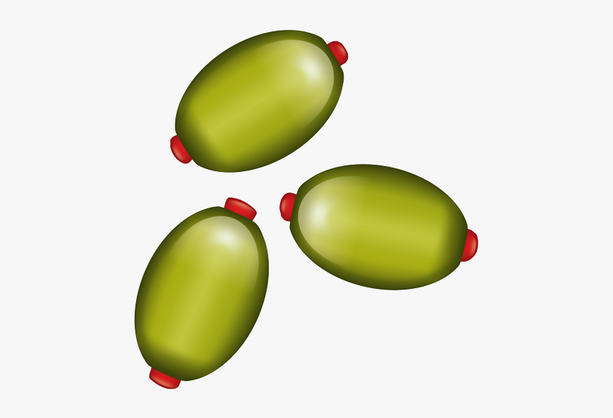 Mango, HD Png Download